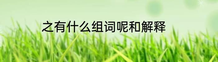 之有什么组词呢和解释