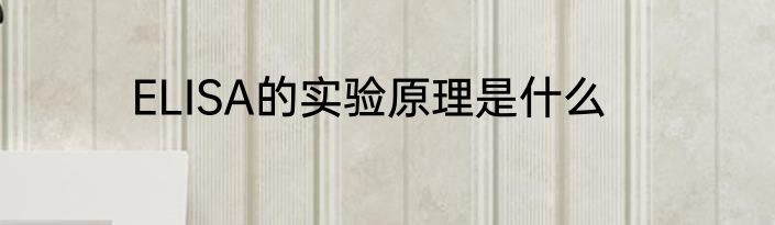 ELISA的实验原理是什么