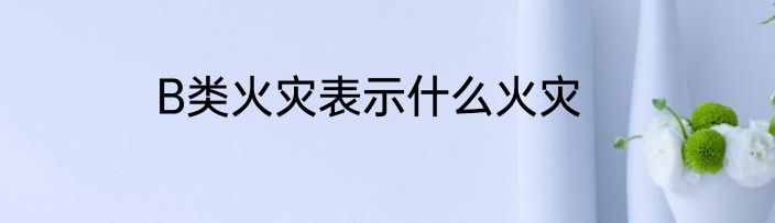 B类火灾表示什么火灾