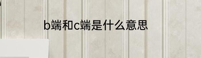b端和c端是什么意思
