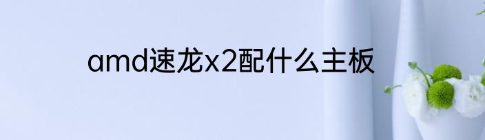 amd速龙x2配什么主板