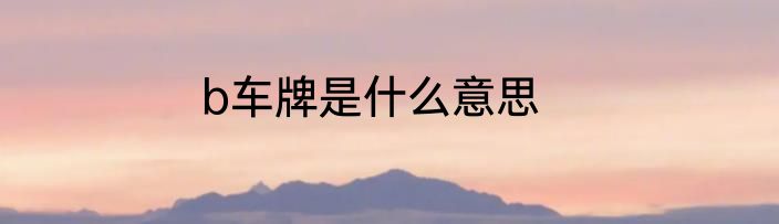 b车牌是什么意思
