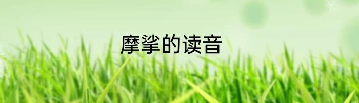 摩挲的读音
