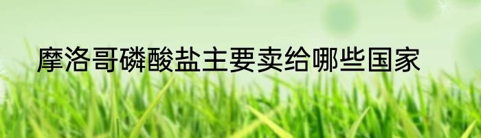 摩洛哥磷酸盐主要卖给哪些国家