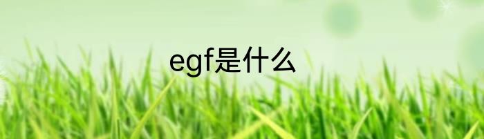 egf是什么