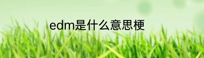 edm是什么意思梗