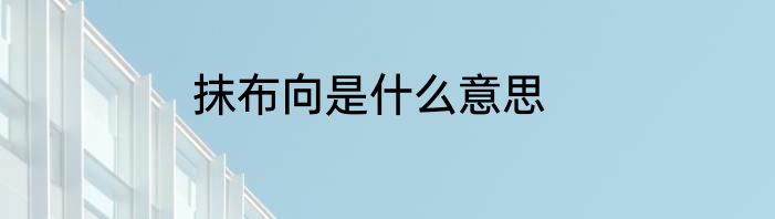 抹布向是什么意思