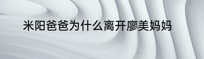 米阳爸爸为什么离开廖美妈妈
