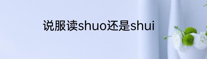 说服读shuo还是shui