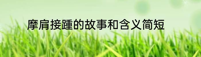 摩肩接踵的故事和含义简短
