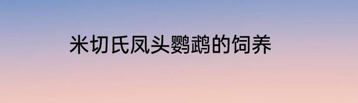 米切氏凤头鹦鹉的饲养