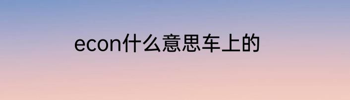 econ什么意思车上的