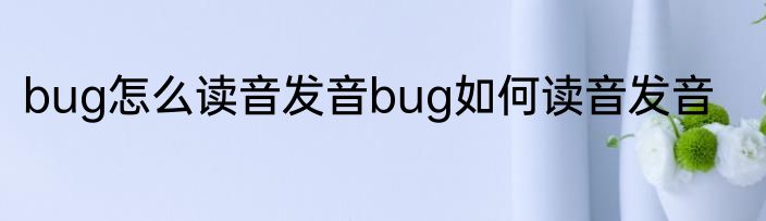 bug怎么读音发音bug如何读音发音