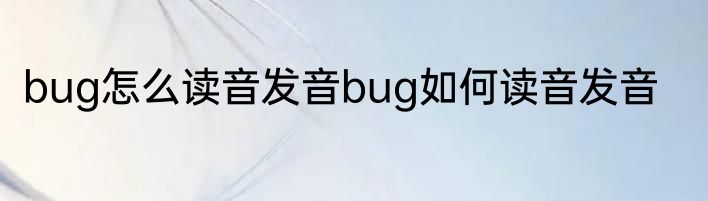 bug怎么读音发音bug如何读音发音