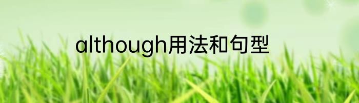 although用法和句型
