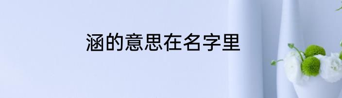 涵的意思在名字里