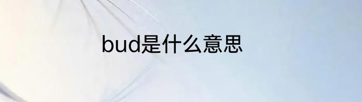 bud是什么意思