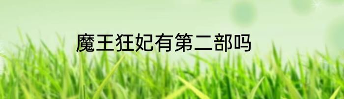 魔王狂妃有第二部吗