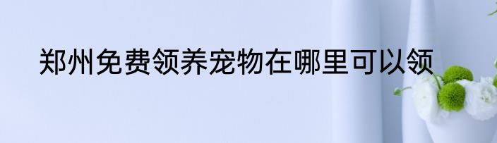 郑州免费领养宠物在哪里可以领