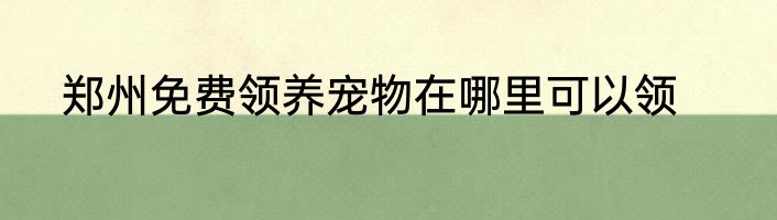 郑州免费领养宠物在哪里可以领