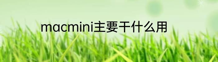 macmini主要干什么用