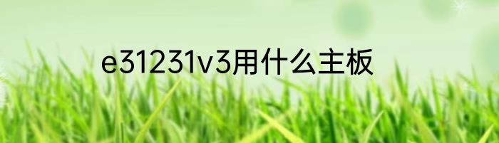 e31231v3用什么主板