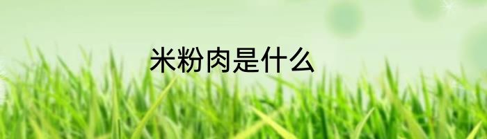 米粉肉是什么