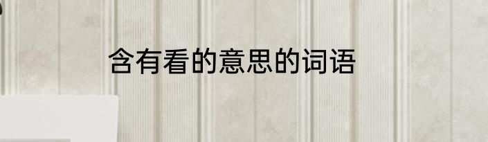 含有看的意思的词语