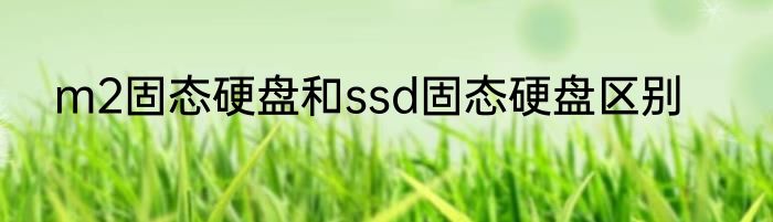 m2固态硬盘和ssd固态硬盘区别