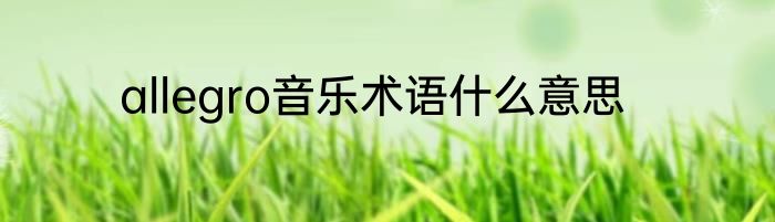 allegro音乐术语什么意思