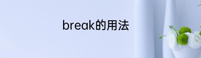 break的用法