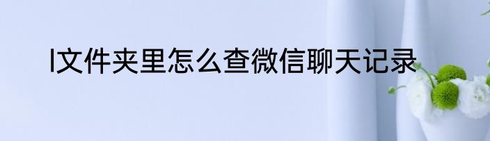 l文件夹里怎么查微信聊天记录