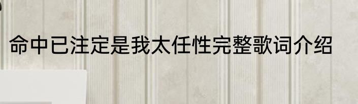 命中已注定是我太任性完整歌词介绍