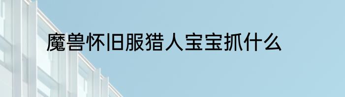 魔兽怀旧服猎人宝宝抓什么