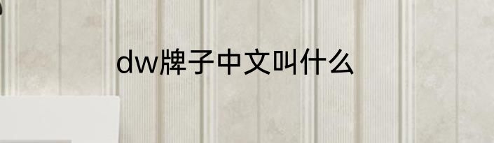 dw牌子中文叫什么
