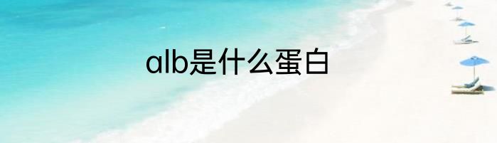 alb是什么蛋白