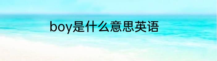 boy是什么意思英语