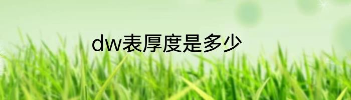 dw表厚度是多少