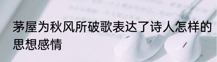 茅屋为秋风所破歌表达了诗人怎样的思想感情