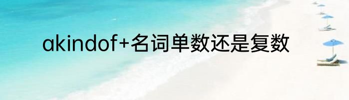 akindof+名词单数还是复数