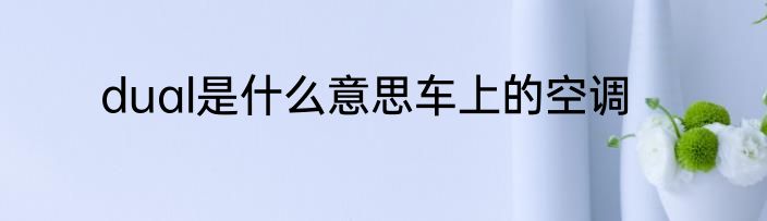 dual是什么意思车上的空调
