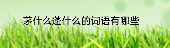 茅什么蓬什么的词语有哪些