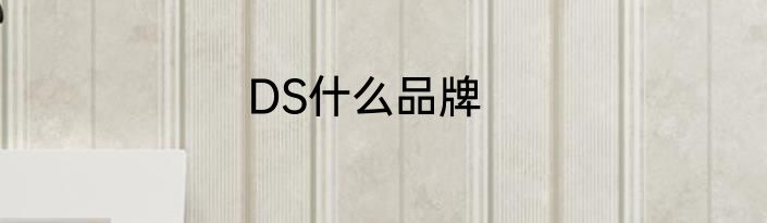 DS什么品牌