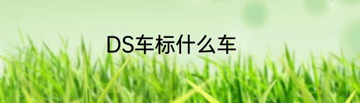 DS车标什么车