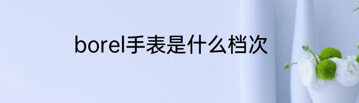 borel手表是什么档次