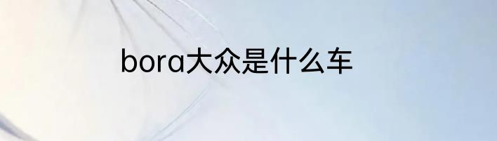 bora大众是什么车