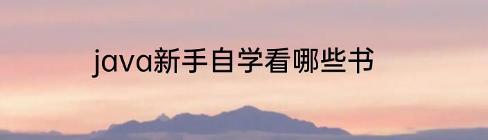 java新手自学看哪些书