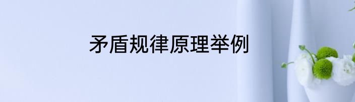 矛盾规律原理举例