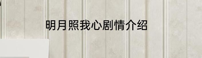 明月照我心剧情介绍