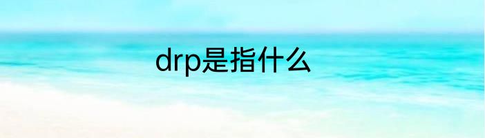 drp是指什么